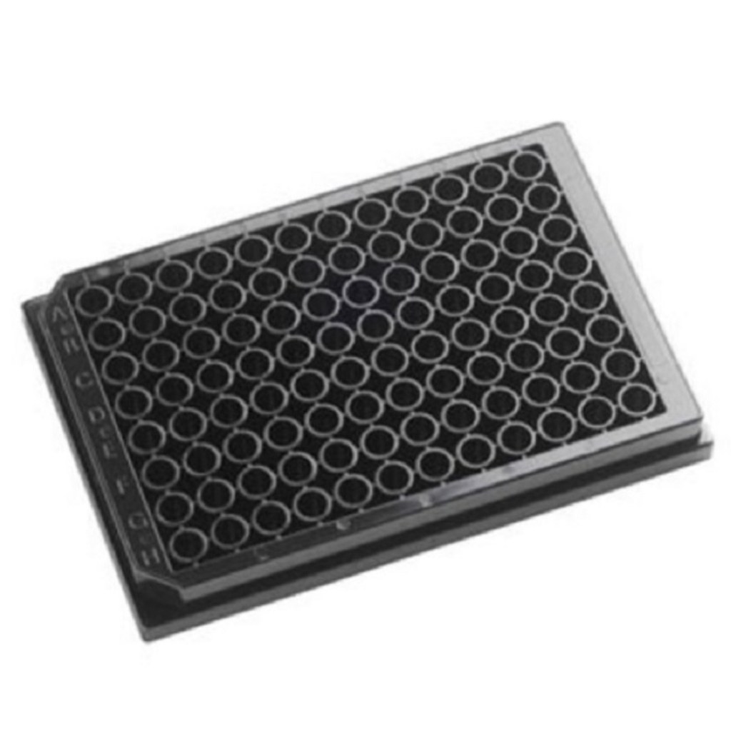 Placa PCR Tipo Cartão – Fundo Preto