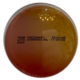 Ágar MacConkey – 10 Placas (90 × 15 mm)