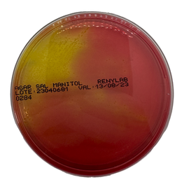 Ágar Sal Manitol – 10 Placas (90 × 15 mm)