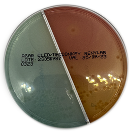 Ágar CLED / MacConkey – Biplaca (10 unidades, 90 × 15 mm)