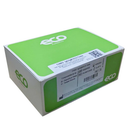 Teste Rápido Chikungunya IgG/IgM – 20 Testes