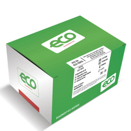 Teste Rápido HCV – Cassete com 25 Unidades