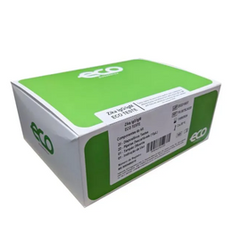 Teste Rápido Zika IgM/IgG – Caixa com 20 Unidades