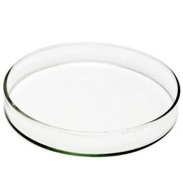 Placa de Petri em Vidro 150 x 20 mm – Autoclavável (Caixa c/24 | Pacote c/6)