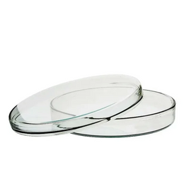 Placa de Petri em Vidro Borossilicato 80 x 15 mm – Autoclavável