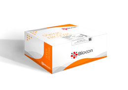 Teste Rápido RSV (Vírus Sincicial Respiratório) – Kit com 10 Testes